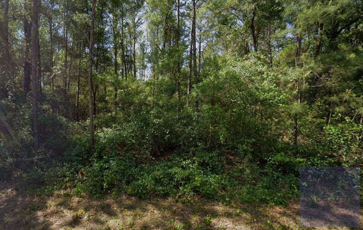 🌿 Prime Land for Your Dream Home in Growing Citrus Springs! 🏡✨