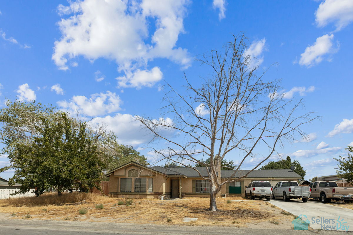 🔥 🔨 LITTLE ROCK 👀 LARGE LOT 🔨🔥