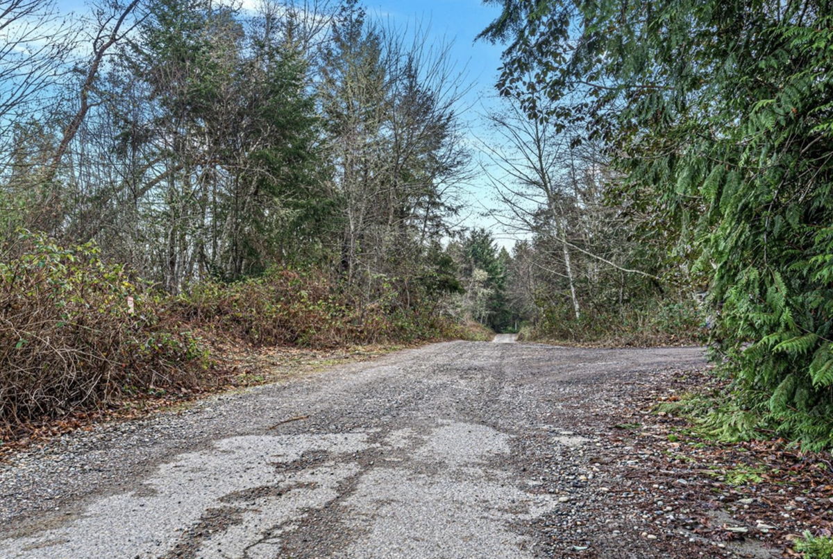 3 Large Buildable Lots in Lakebay! 🌲