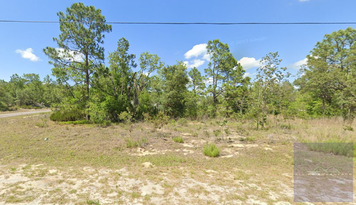 🏡 Build Your Dream Home on Prime Citrus Springs Land! 🌟