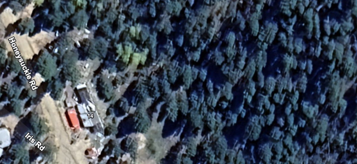 Woodland, Park, CO 🚨 Great Land 0.69 acres Starting @ 45k 🚨