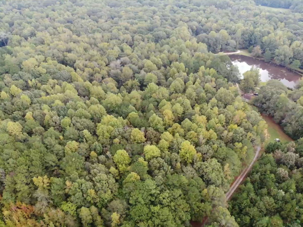 OVER 25 ACRES OF LAND IN PIKE COUNTY!!!
