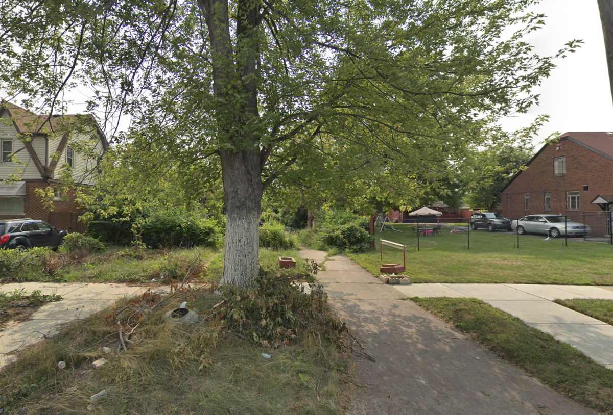 🔥AMAZING LOT OPPORTUNITY I DETROIT MI I MORE INFO BELOW 🏡🔥