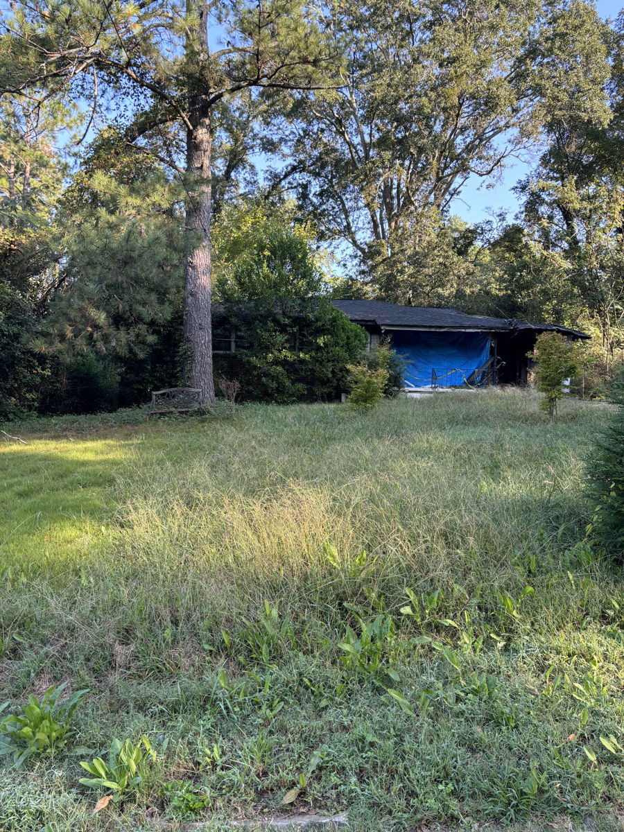 DECATUR, Blank Canvas, Fire Damage 340k ARV