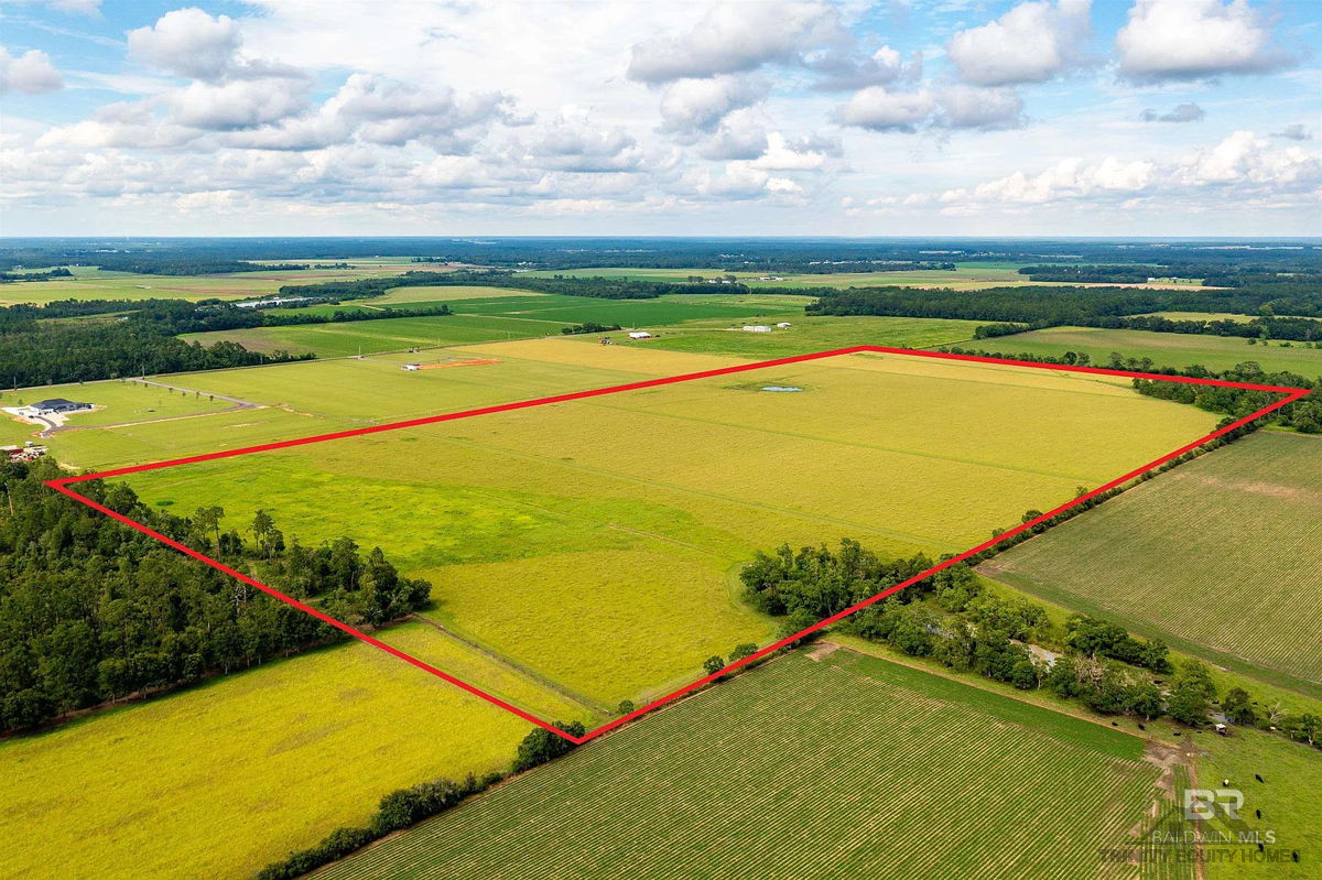 🔊Prime 93 Acres of Opportunity in Foley AL🔊