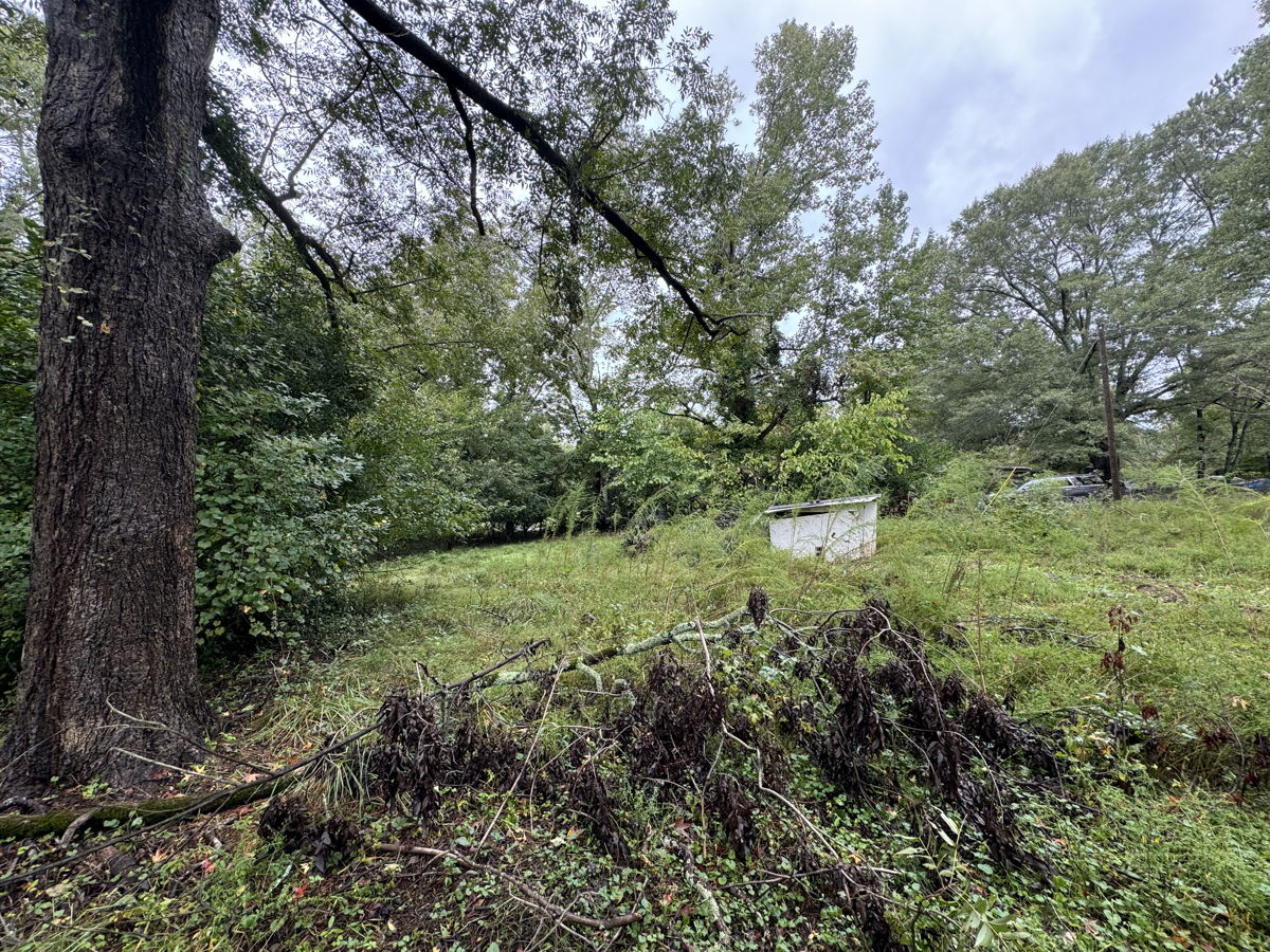 CHEAP BUILDABLE LOT IN CLARKE COUNTY