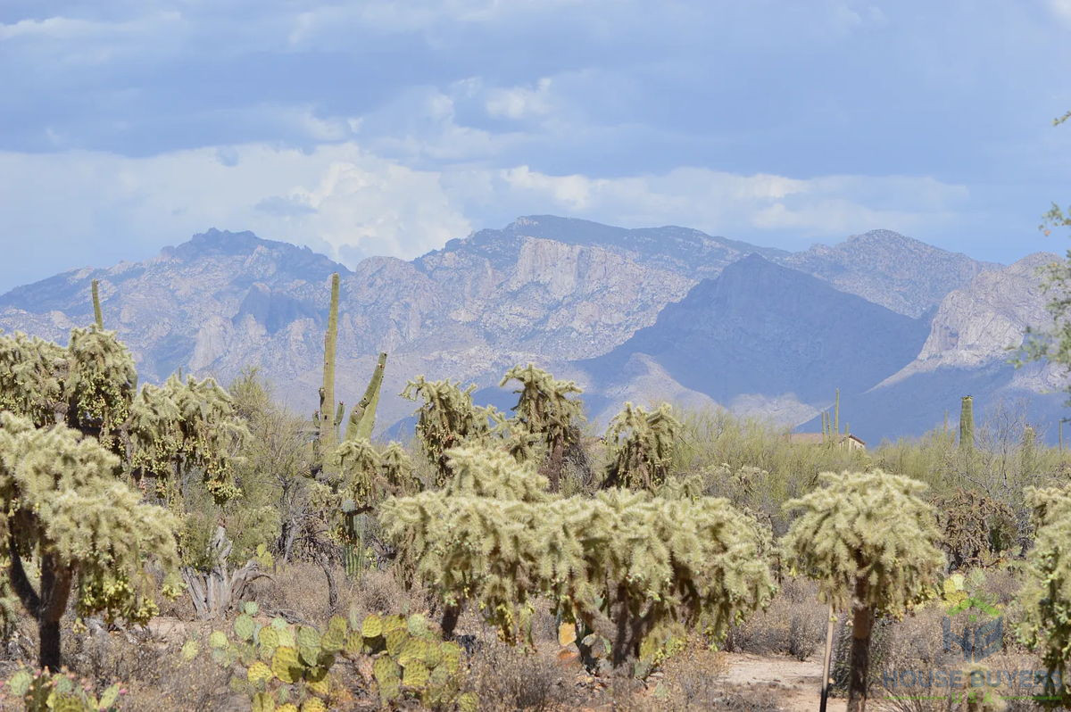 3+ ACRE LOT IN TUCSON 😱  $1,000,000 DEVELOPMENT OPPORTUNITY