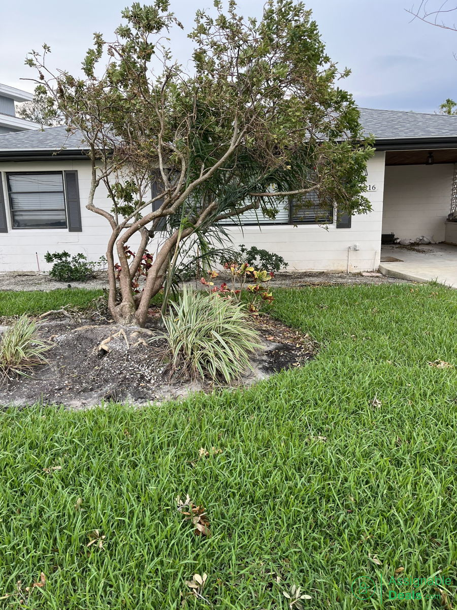 💸🏡💸 St Petersburg Pool Home - Fix and Flip! 💸🏡💸