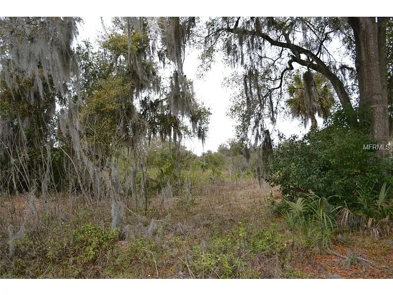 🏡 Buildable Lot in Deland, FL – Ready for New Construction!