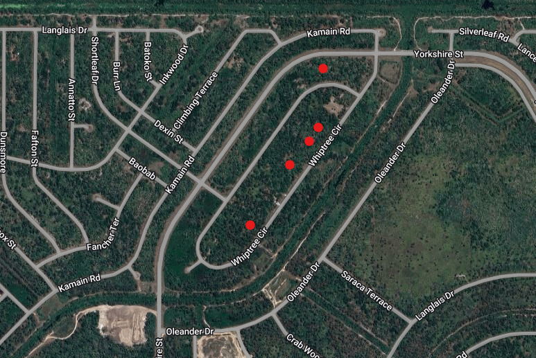 🚨FIVE HALF ACRE LOTS🚨 on SAME STREET: Whiptree Cir, North Port📍- 2.5 Acre Deal >