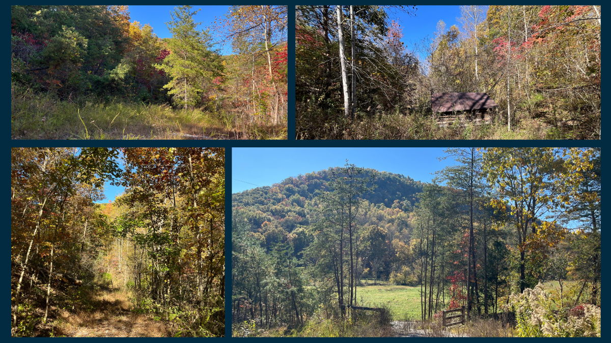 62 Acres in KY – Perfect for Getaways or Development!