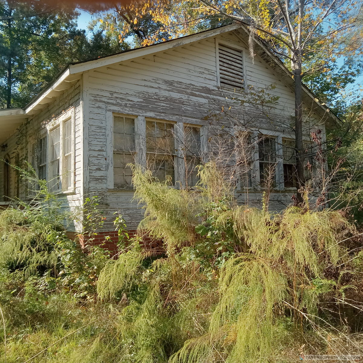 🔥Investment opportunity at Hayneville, AL🔥