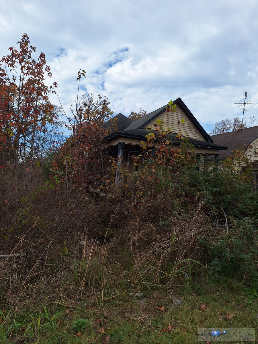 🏠🌳OFF MARKET | Single Family Home | Mounds, IL | Photos Inside➡️🏡