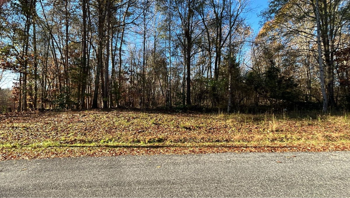 Investors’ Dream Lot 🏡 | Ready for Your Vision in Eden, NC! 🌟