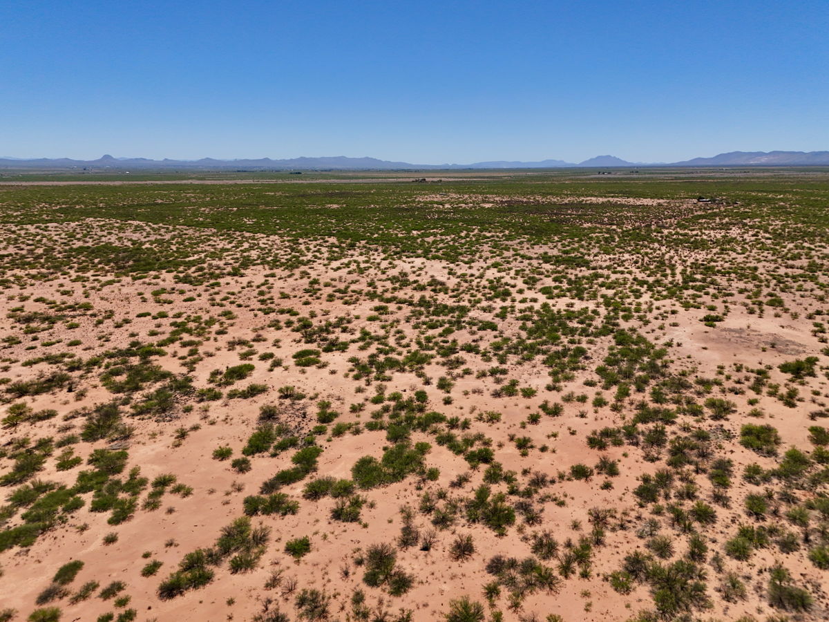 130 Acre Desert Haven  | Douglas AZ  | Click for Aerial video ➡️🎥