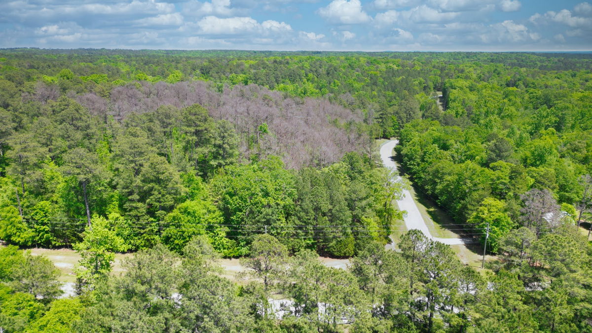 Discover Your Southern Retreat | Appling GA | Click for Aerial video ➡️🎥