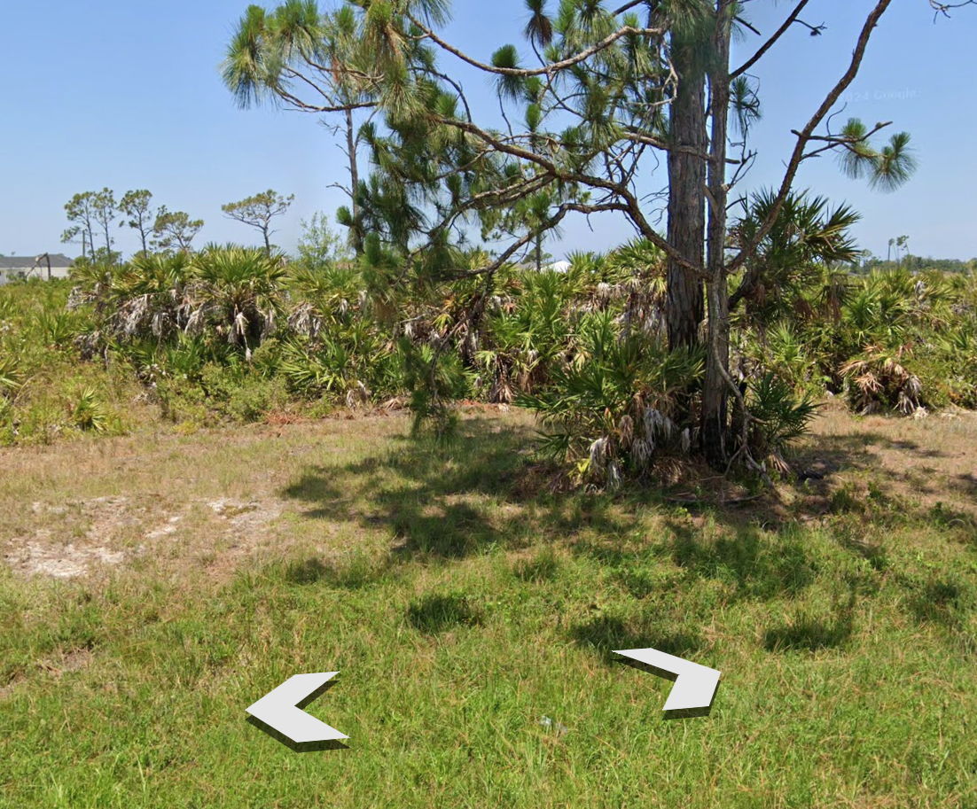 ( Placida, FL 33946📍) 0.172 Acre lot ✅