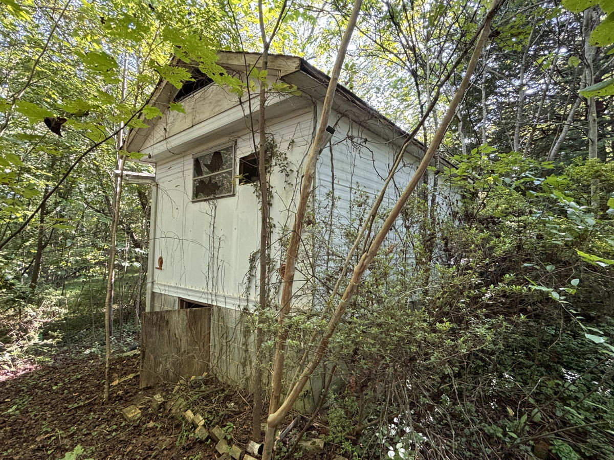🚩Rural Hall, NC | 🏡 TRAILER IN THE WOODS 🔨