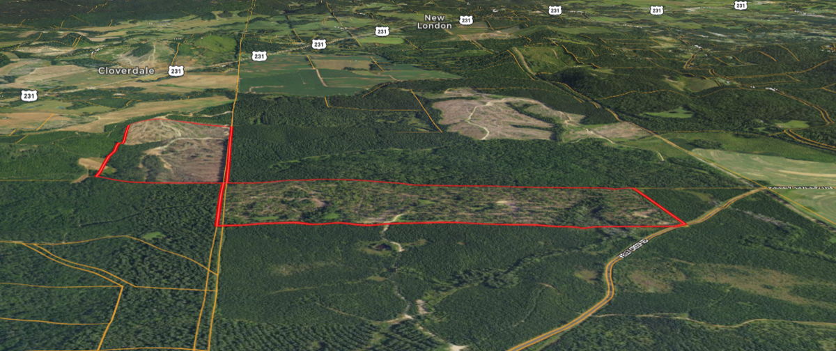 (🌲 Vincent, AL) 211 acres of land 1 hour from Birmingham! $600K MV!